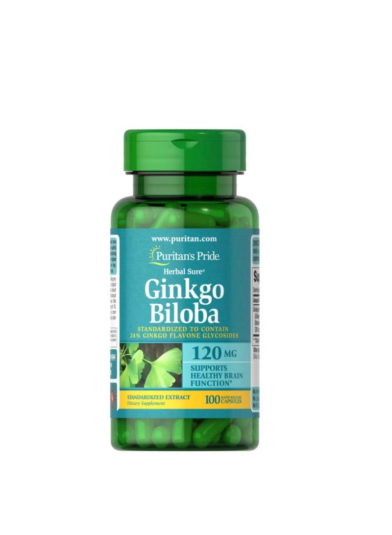 PURITANS PRIDE GINKGO BILOBA 120 MG 100 S